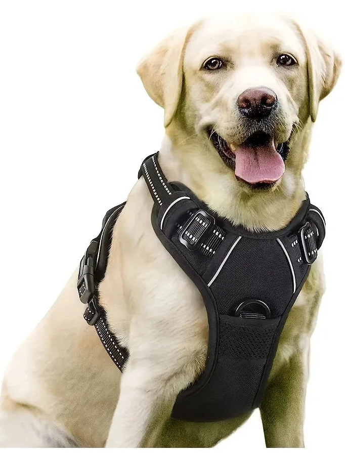 Walk Harness