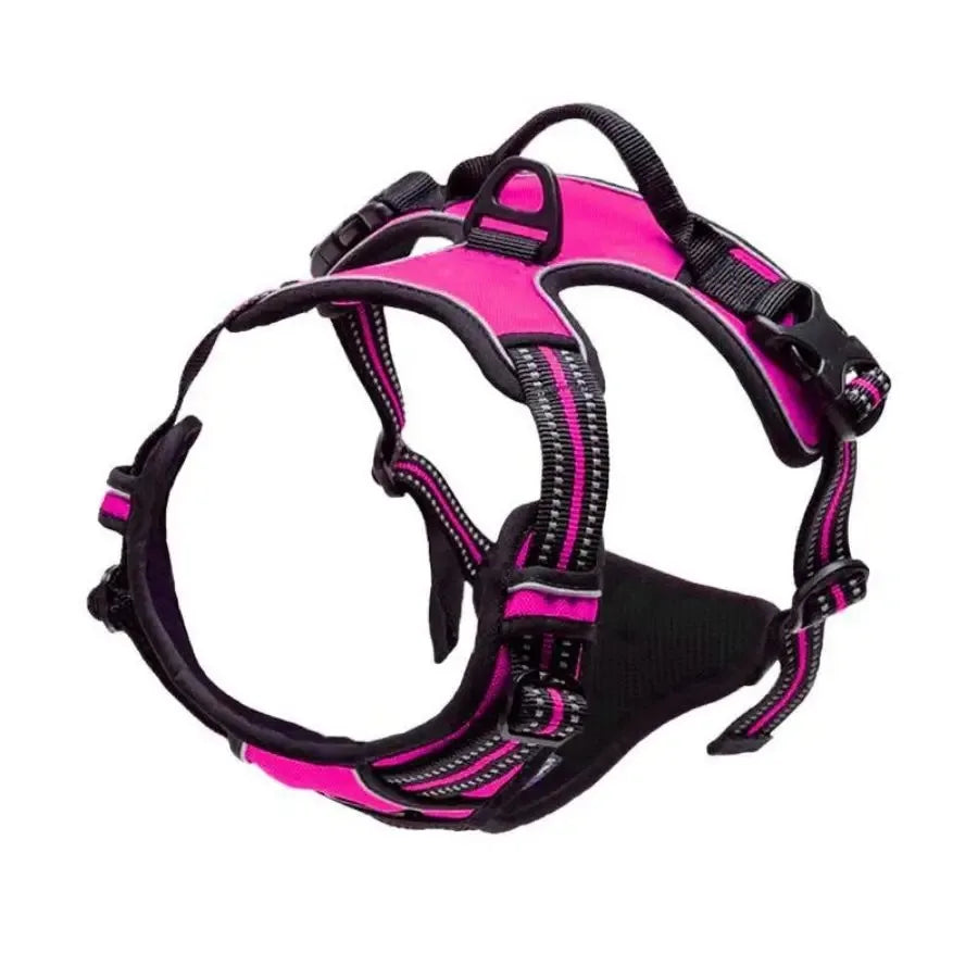 Walk Harness