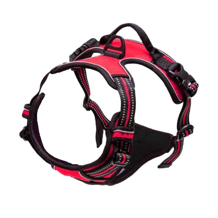 Walk Harness