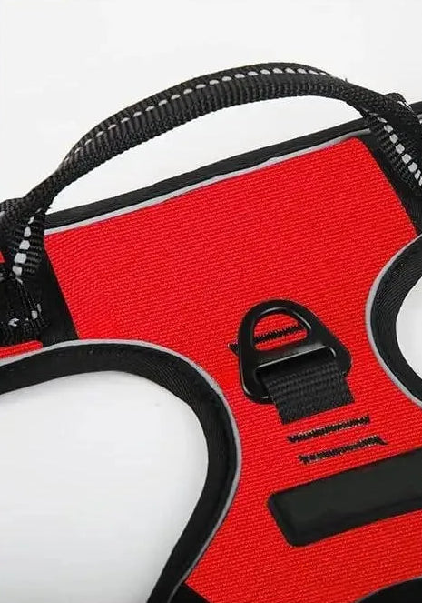 Walk Harness