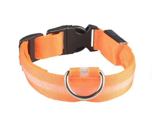 LED Collar