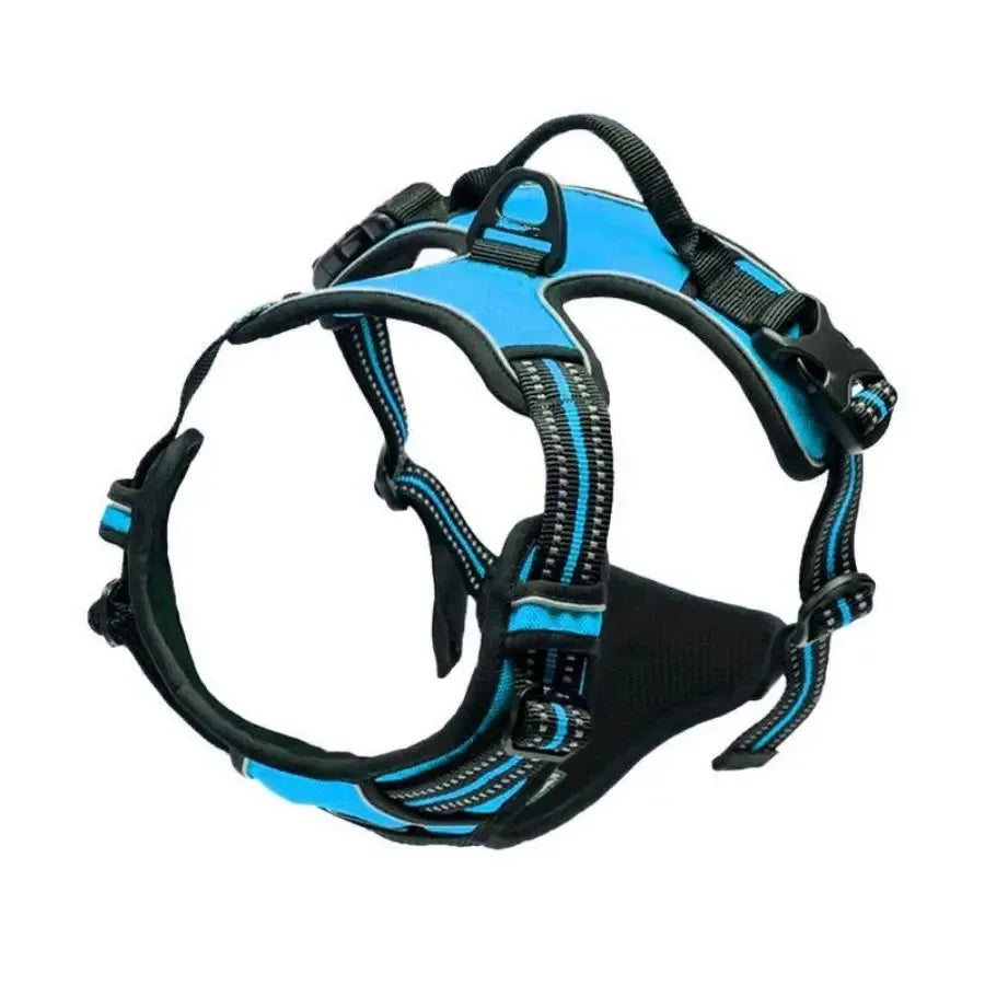 Walk Harness