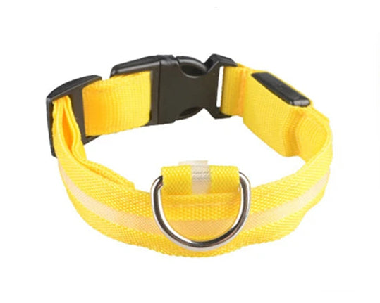 LED Collar