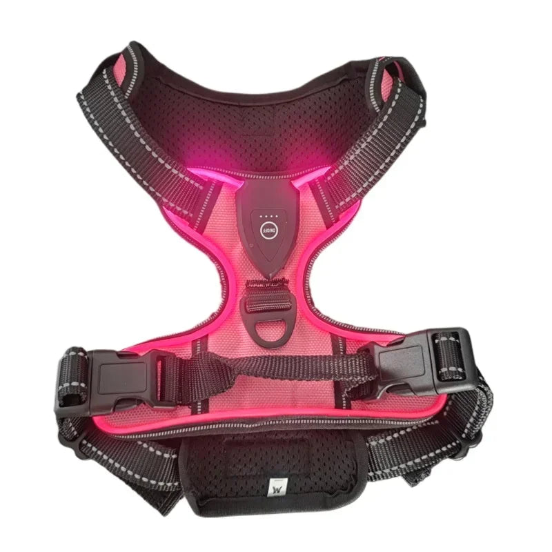 LED Harness