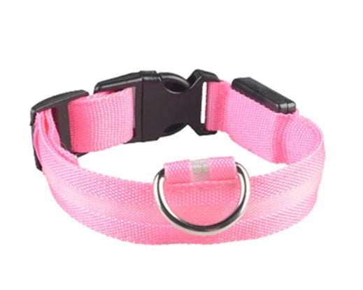 LED Collar