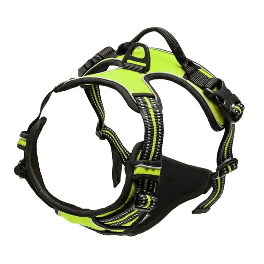 Walk Harness