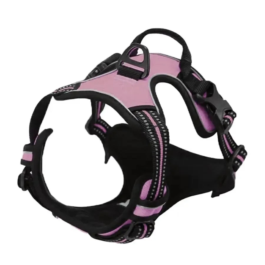 Walk Harness