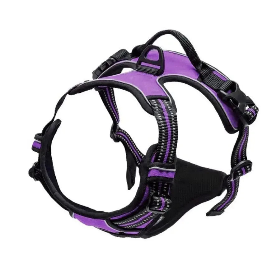 Walk Harness
