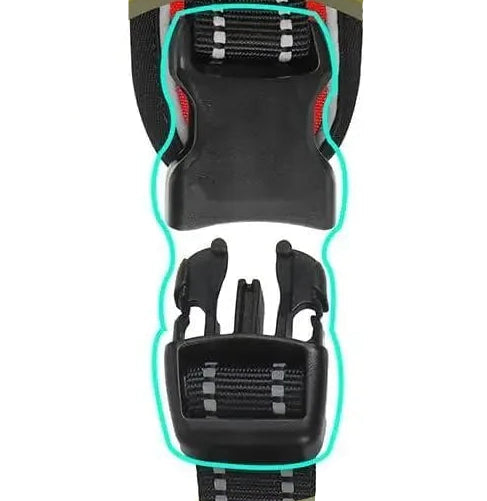 Walk Harness
