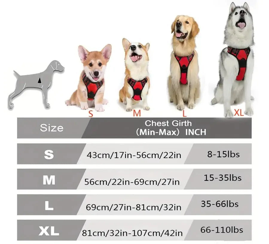 Walk Harness