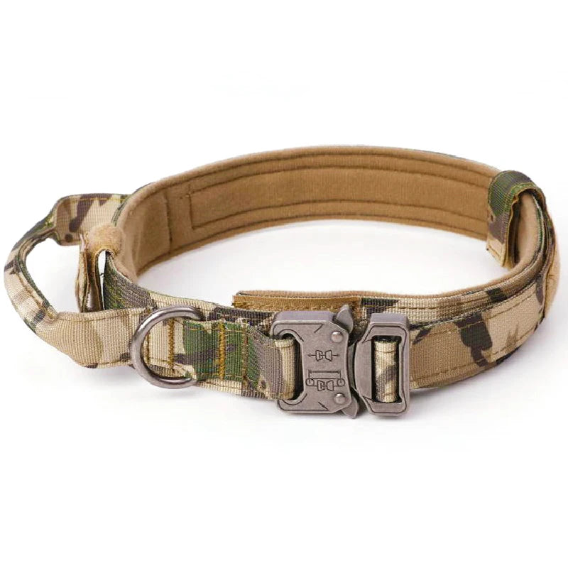 Heavy-Duty Collar