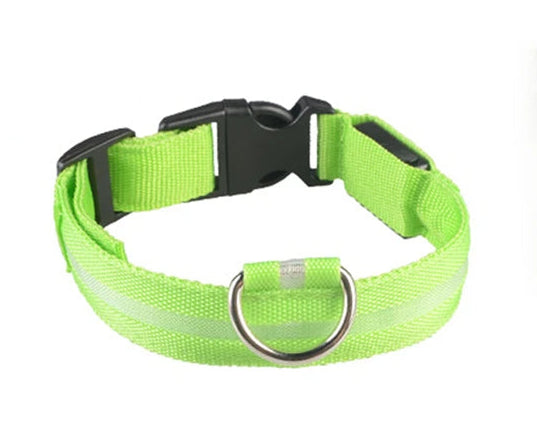 LED Collar