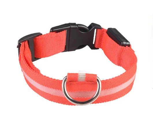 LED Collar