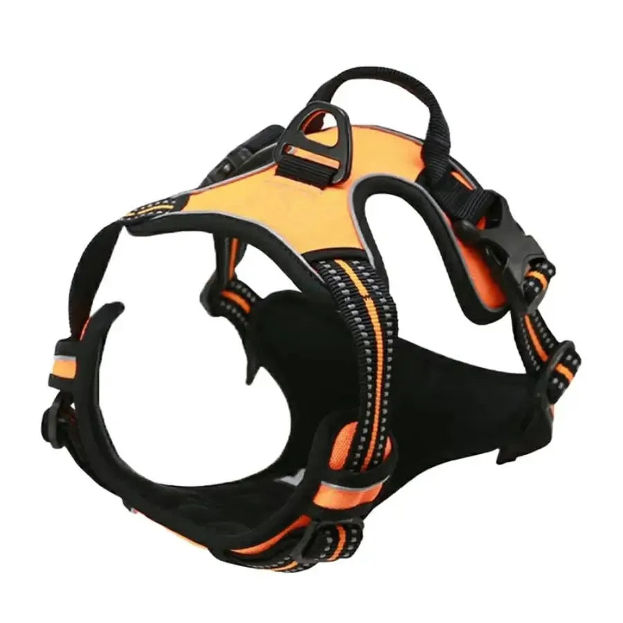 Walk Harness