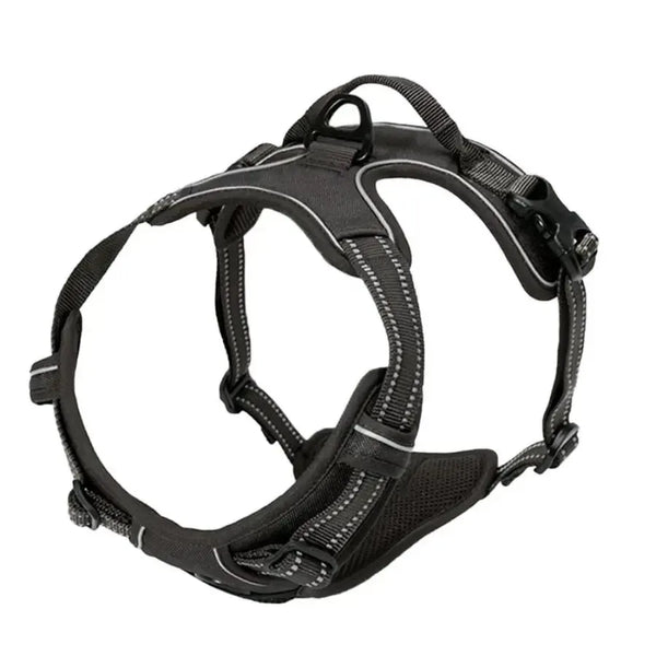 Walk Harness