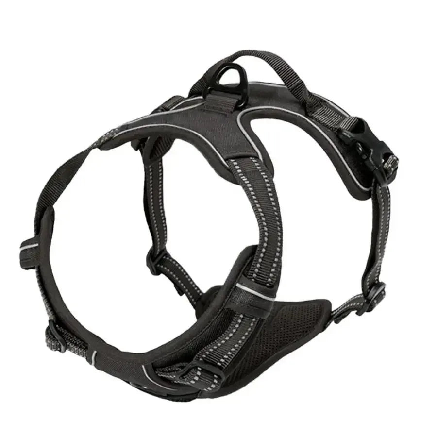 Walk Harness